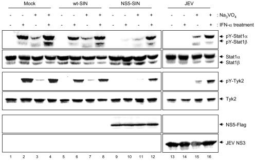 FIG. 8.