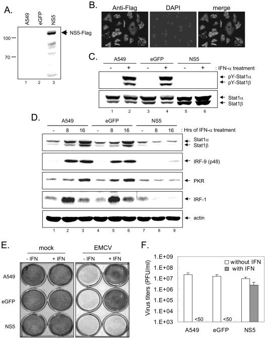 FIG. 7.