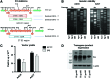 <b>Figure 1.</b>