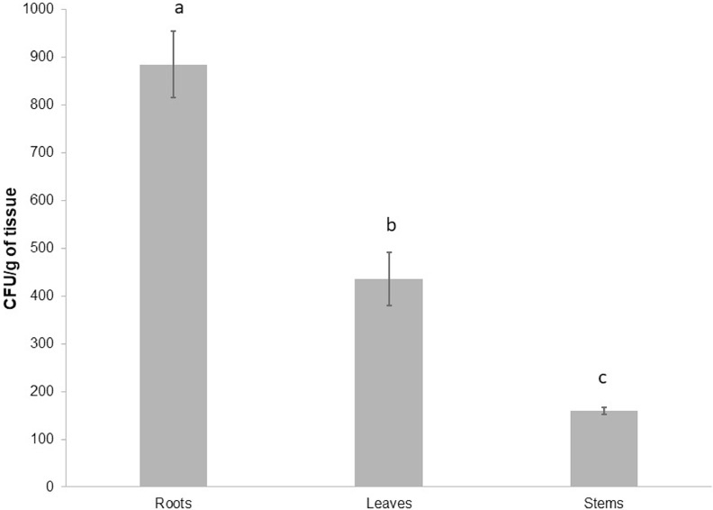 Fig 1