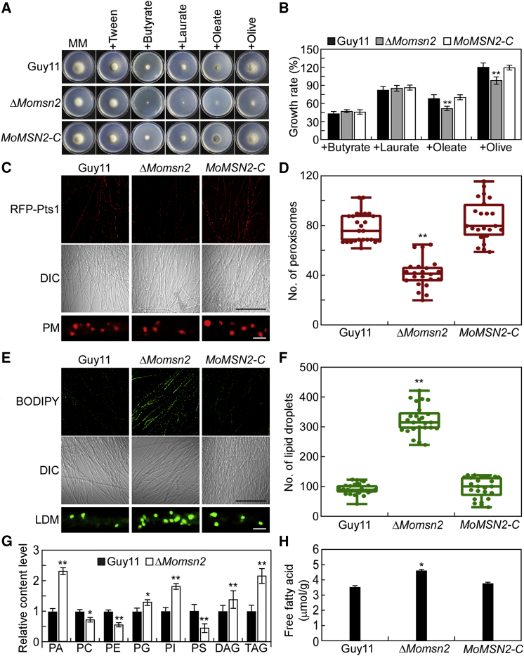 Figure 2