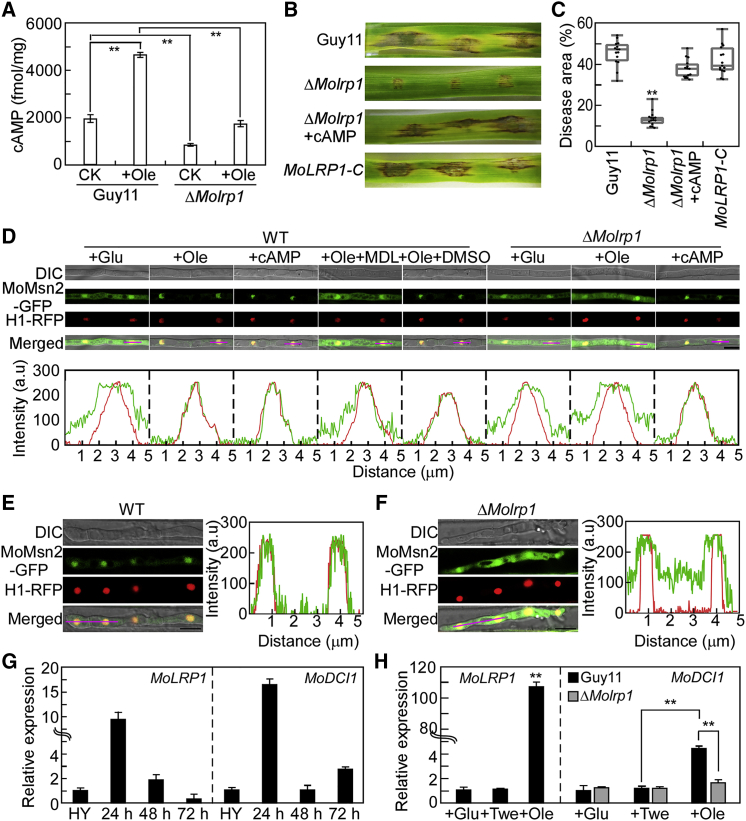 Figure 6