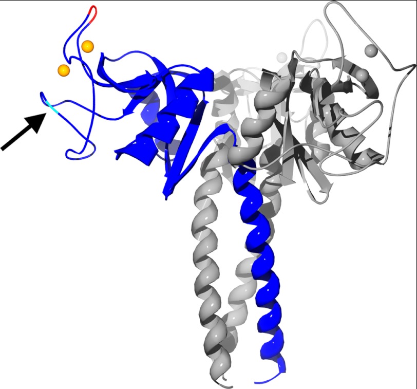 FIGURE 2.