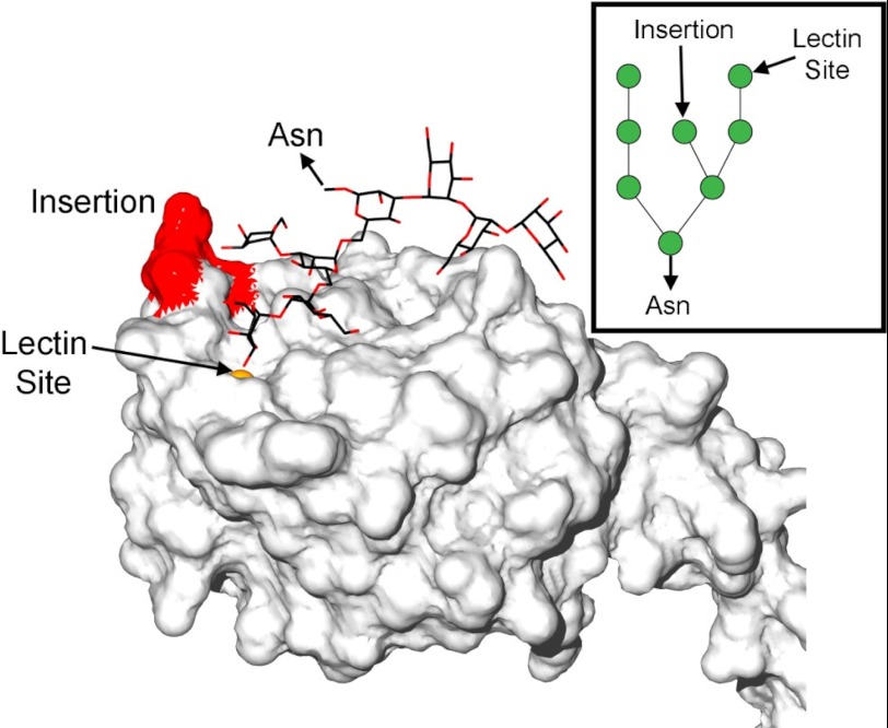 FIGURE 4.