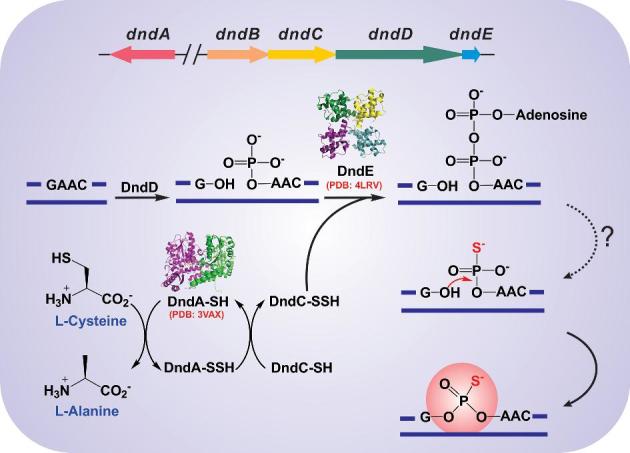 Figure 1.