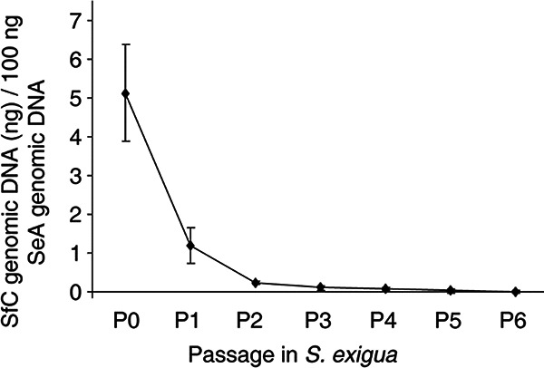 FIG 6