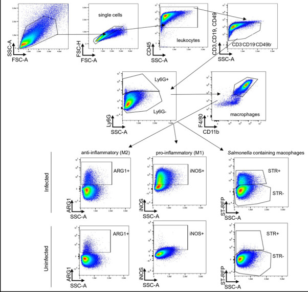 Figure 2.