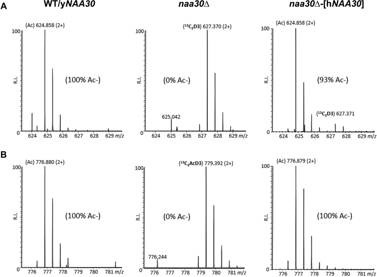 Figure 4