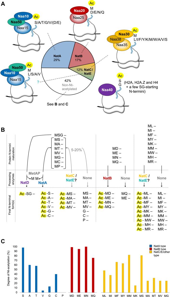 Figure 5