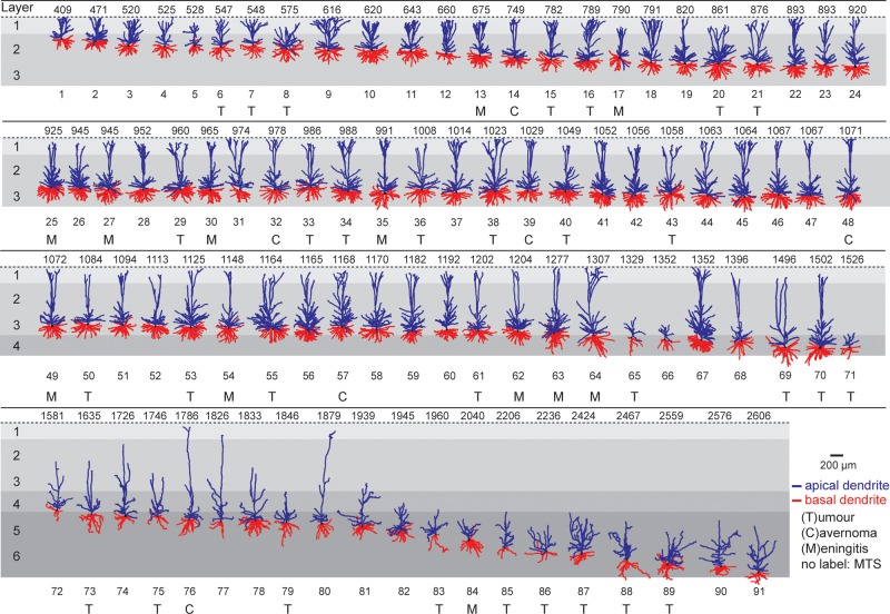 Figure 2.