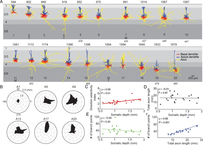 Figure 5.