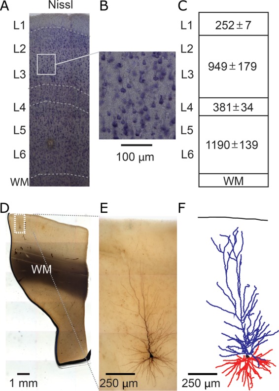 Figure 1.