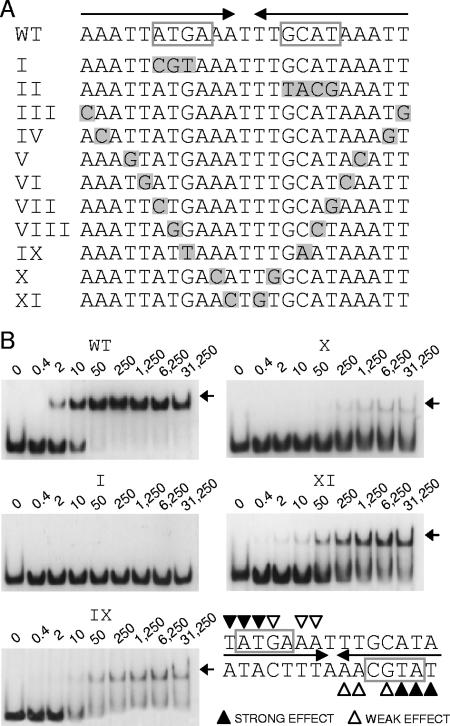 FIG. 5.