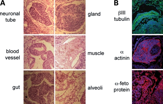 Figure 4.