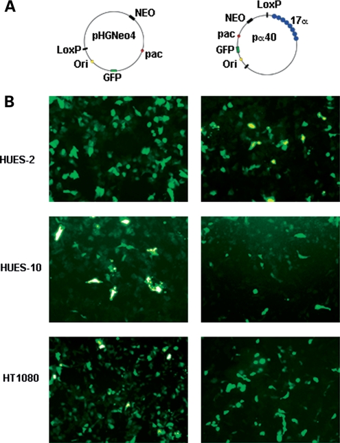 Figure 1.