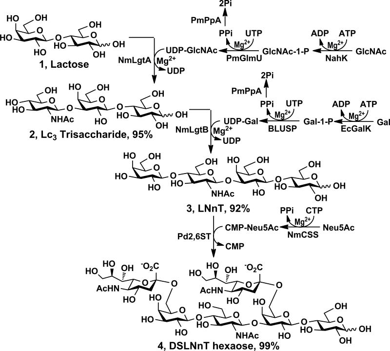 Scheme 1