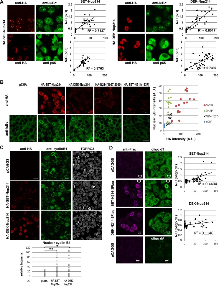 FIG 3