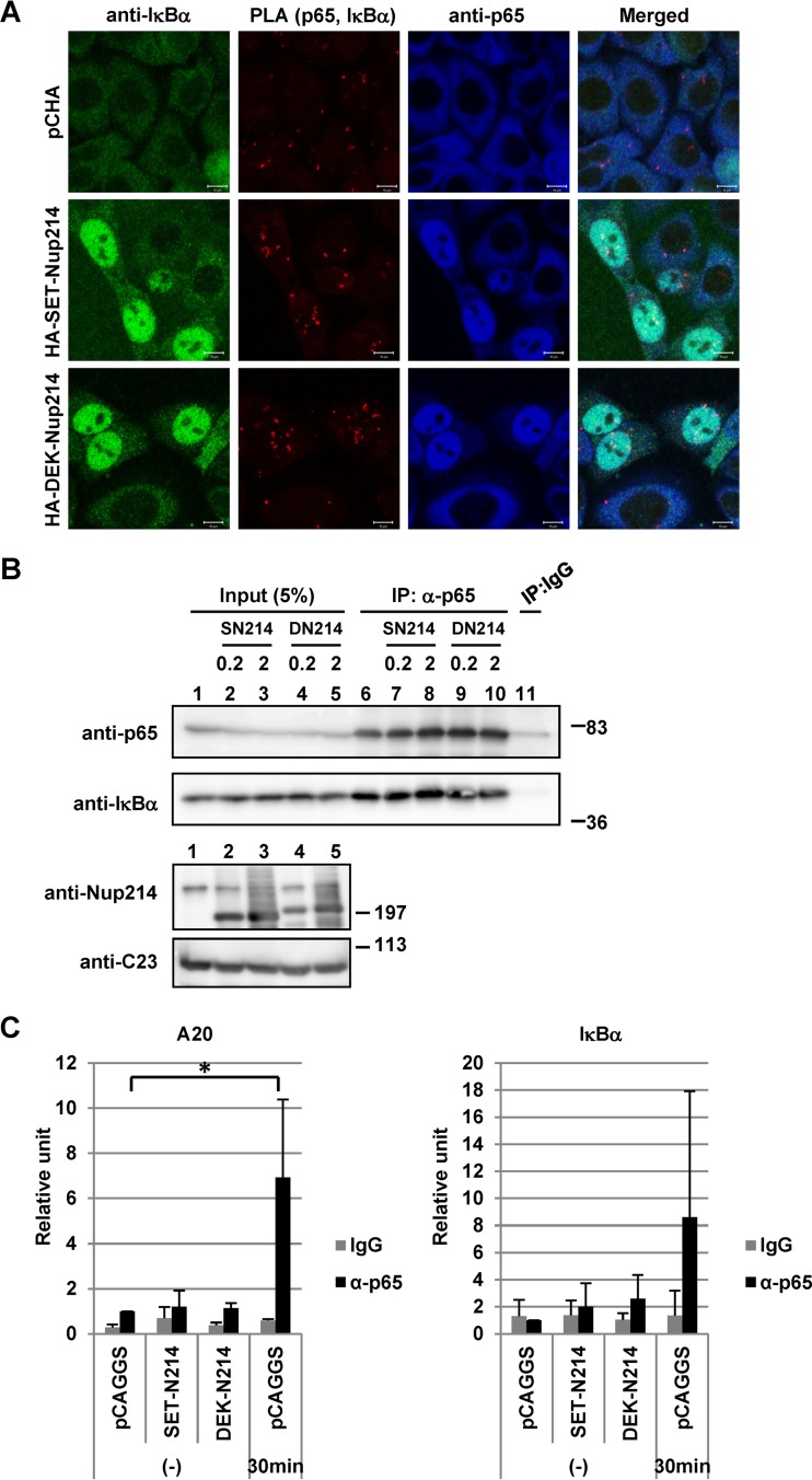 FIG 6