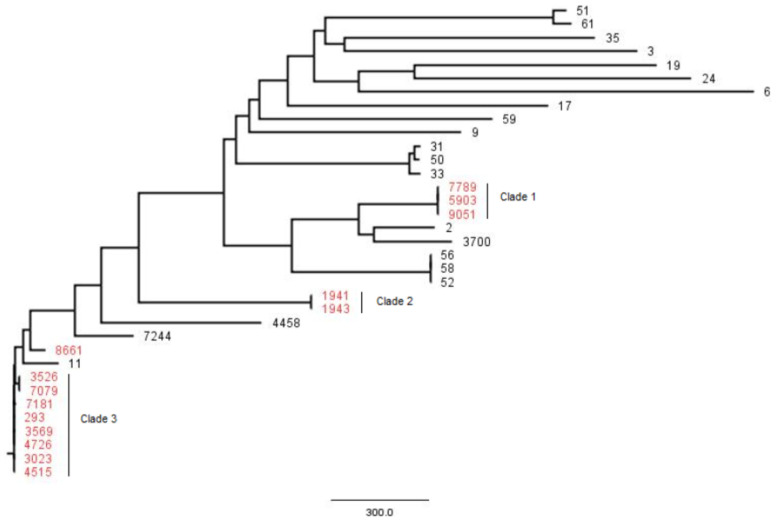 Figure 1