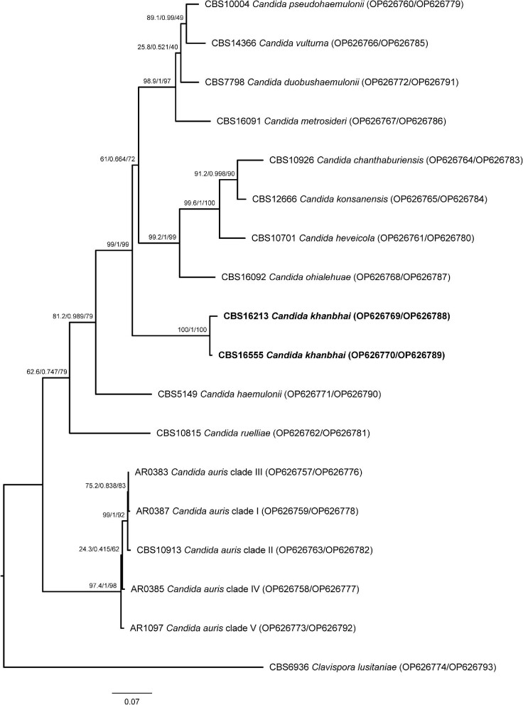 Figure 2.