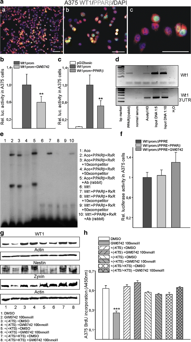 Fig. 7