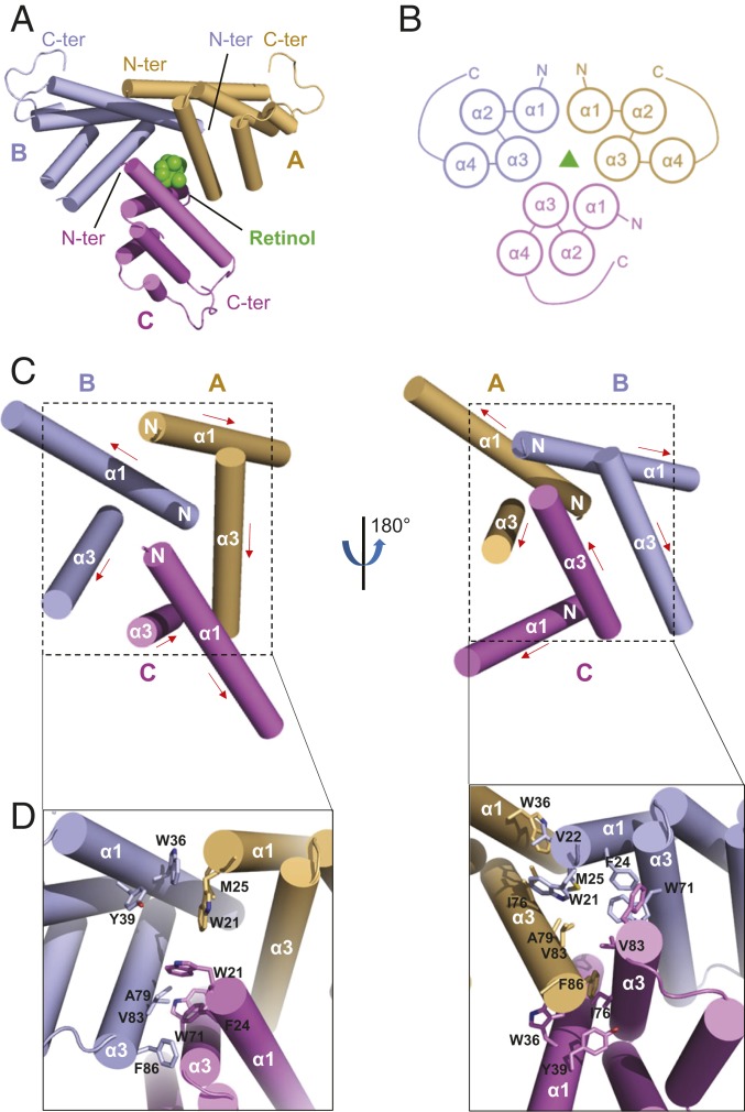 Fig. 3.