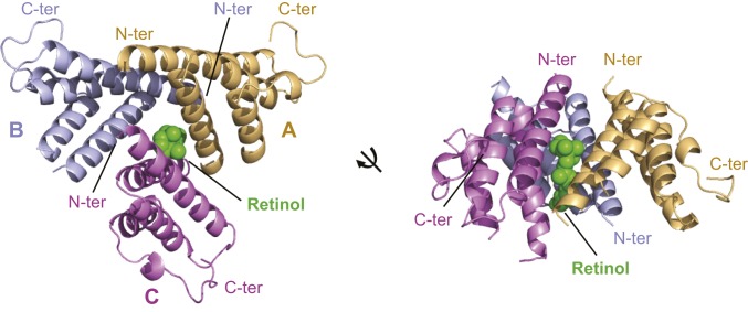 Fig. 2.