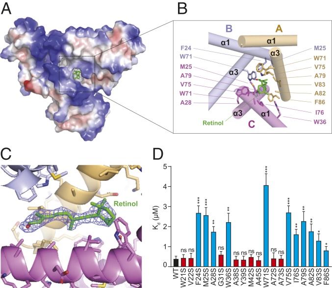 Fig. 4.