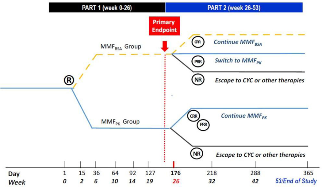 Figure 2: