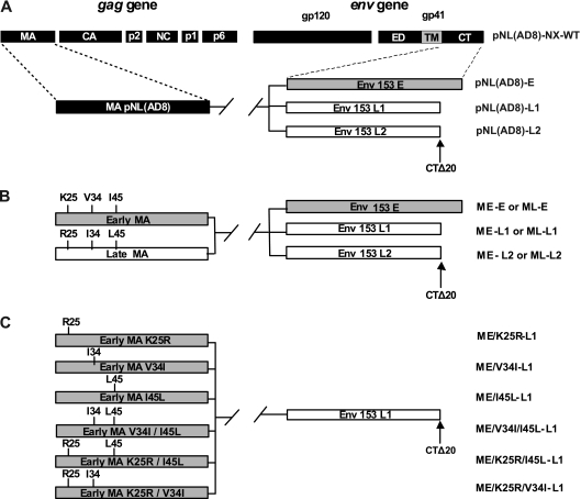 FIG. 1.