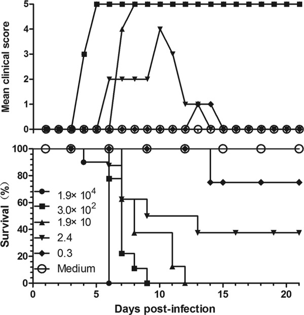 Fig 2