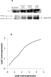Fig 5