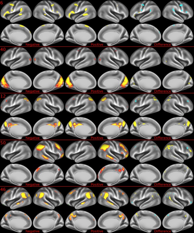 Figure 2—figure supplement 3.