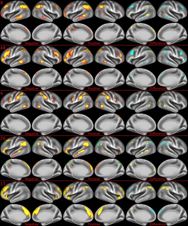 Figure 2—figure supplement 2.