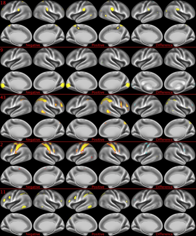 Figure 2—figure supplement 4.