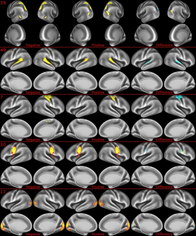 Figure 2—figure supplement 6.