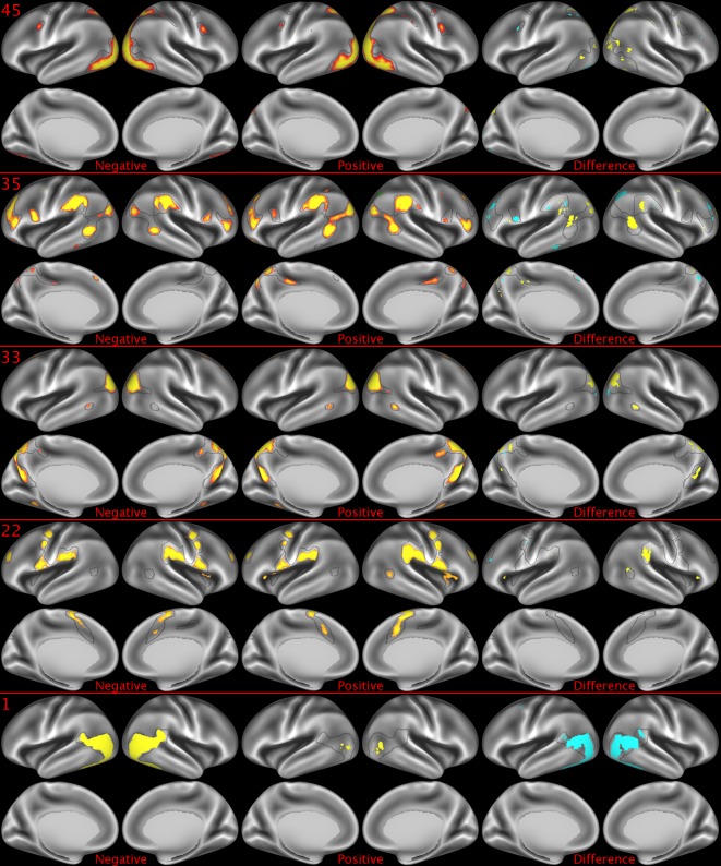 Figure 2—figure supplement 1.