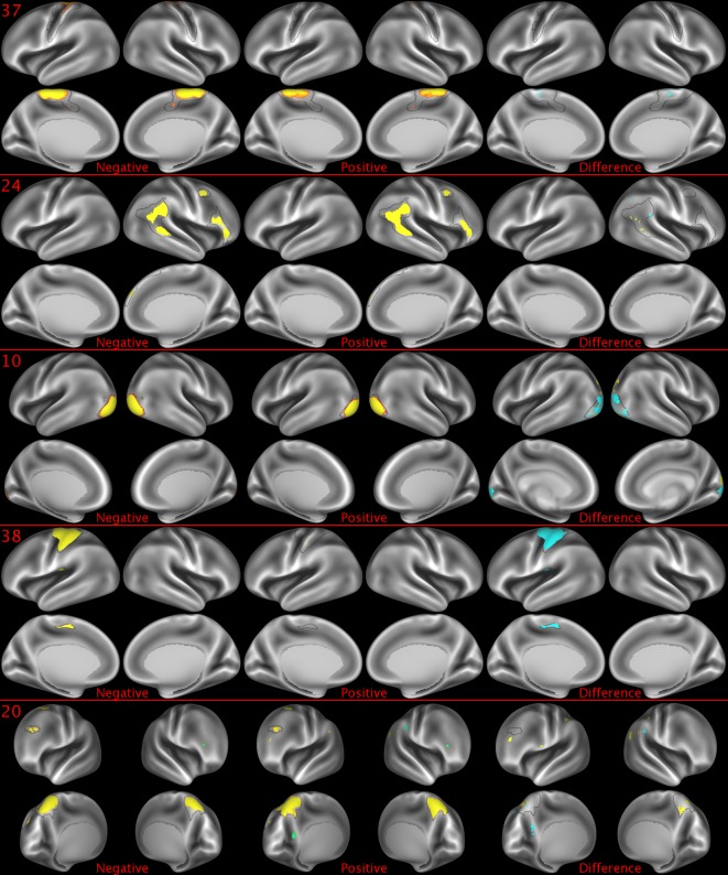 Figure 2—figure supplement 5.