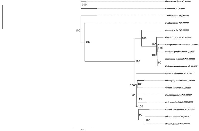 Figure 1.