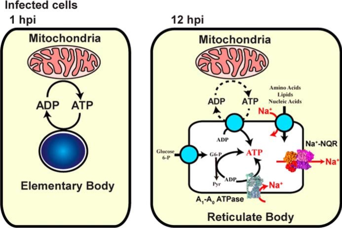 Figure 7.