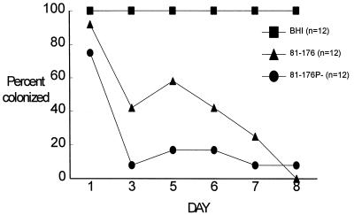 FIG. 6