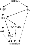 Fig. 9.