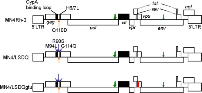 Fig 1