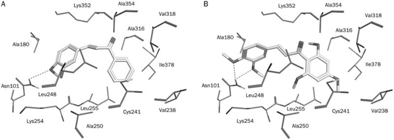 Figure 11