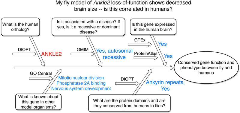 Figure 9: