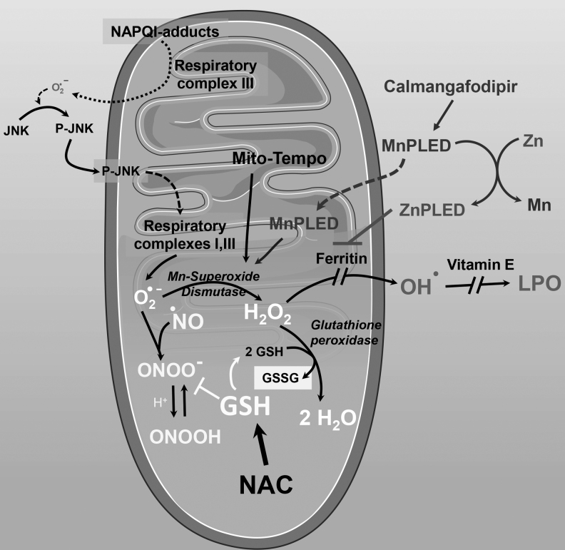 FIG. 6.