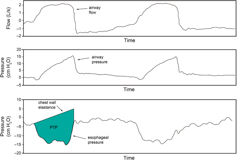 Fig. 8