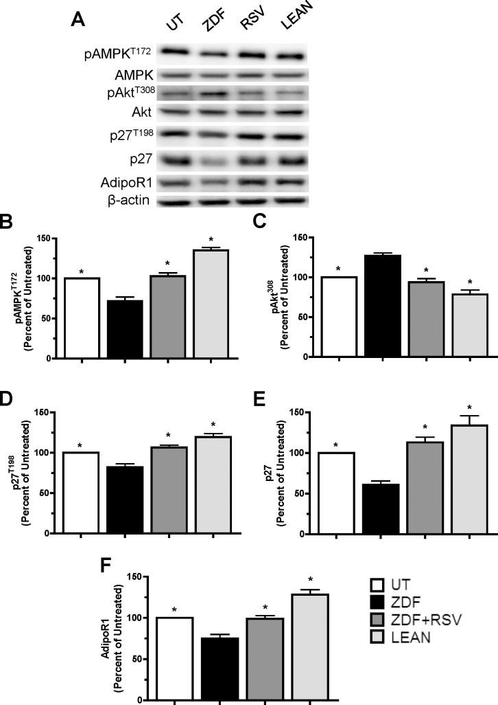 Fig 5