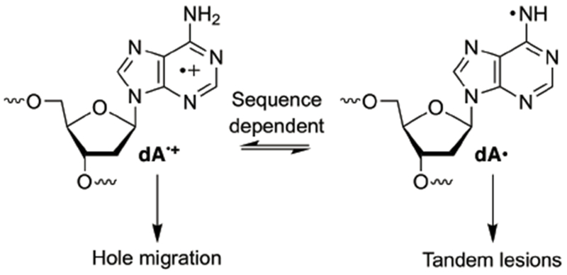 Scheme 4.