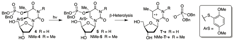 Scheme 2.